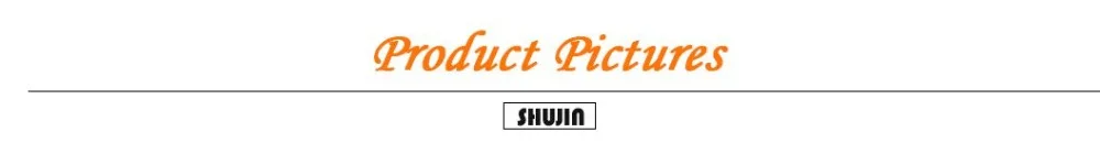 Shuin1 (1)