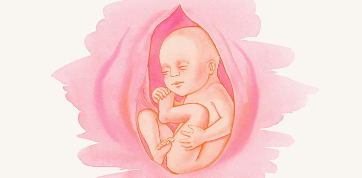Организм ребенка на 28 неделе беременности