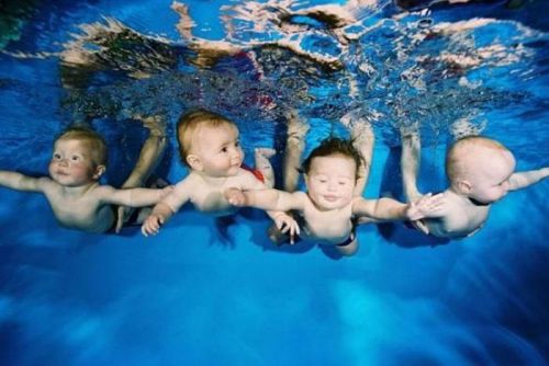 Младенцы плавают в бассейне