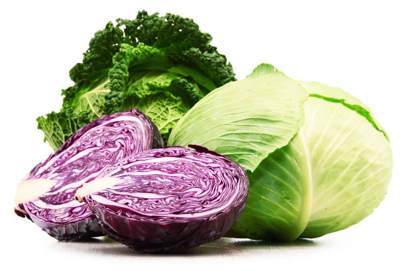 Types of Cabbage and Their Benefits