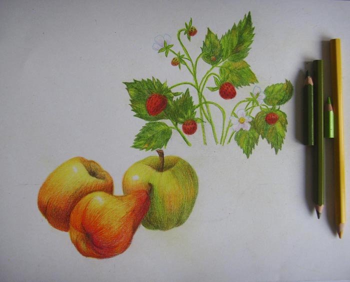 Как нарисовать натюрморт карандашом поэтапно, фото 11