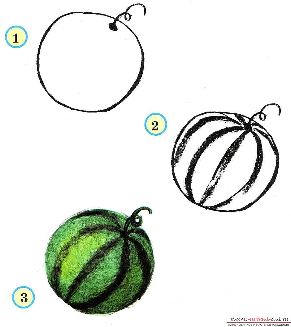 Традиционное рисование овощей и фруктов в старшей группе. Фото №1
