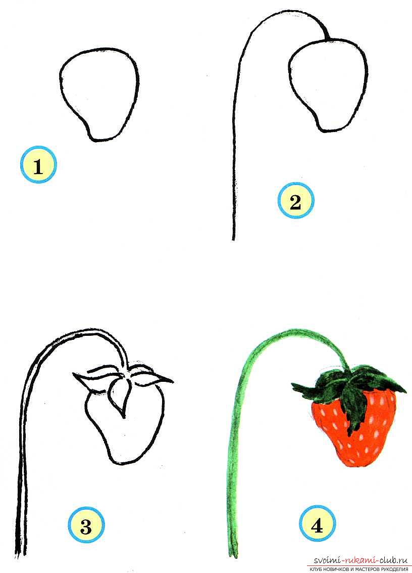 Традиционное рисование овощей и фруктов в старшей группе. Фото №4