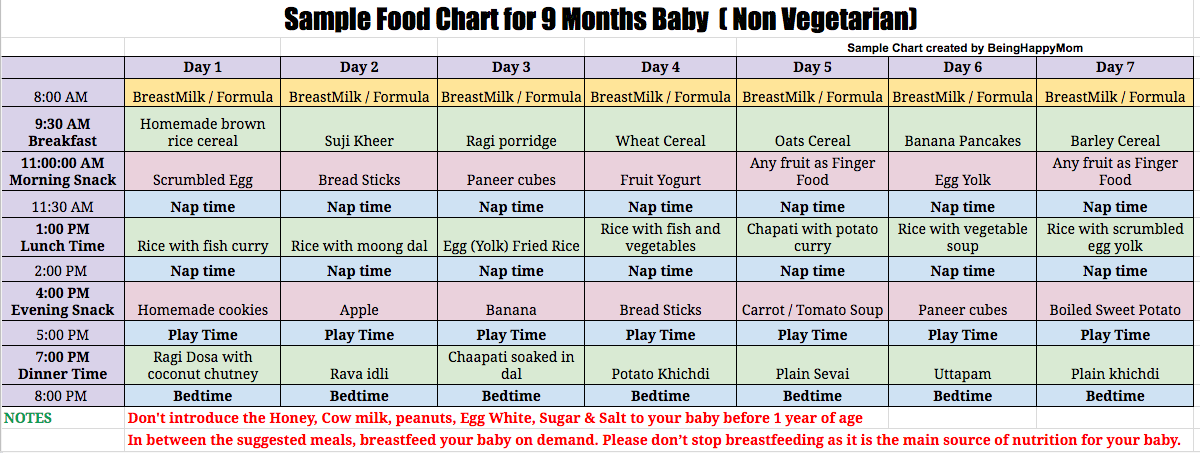 Sample Food chart for 9 months baby NonVegetarian