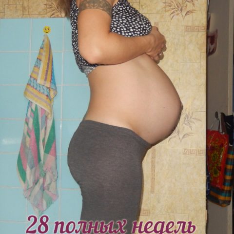Тянет живот 28 неделя. Живот на 28 неделе. Живот на 28 неделе беременности. Живот на 28 неделе беременности двойней. Беременный живот 28 недель.